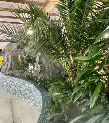 Aquapark Miodolanka w Płocku